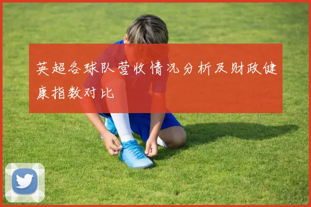 英超各球队营收情况分析及财政健康指数对比