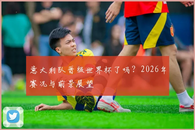 意大利队晋级世界杯了吗？2026年赛况与前景展望